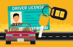 steermouse license expired steermouse license expired
