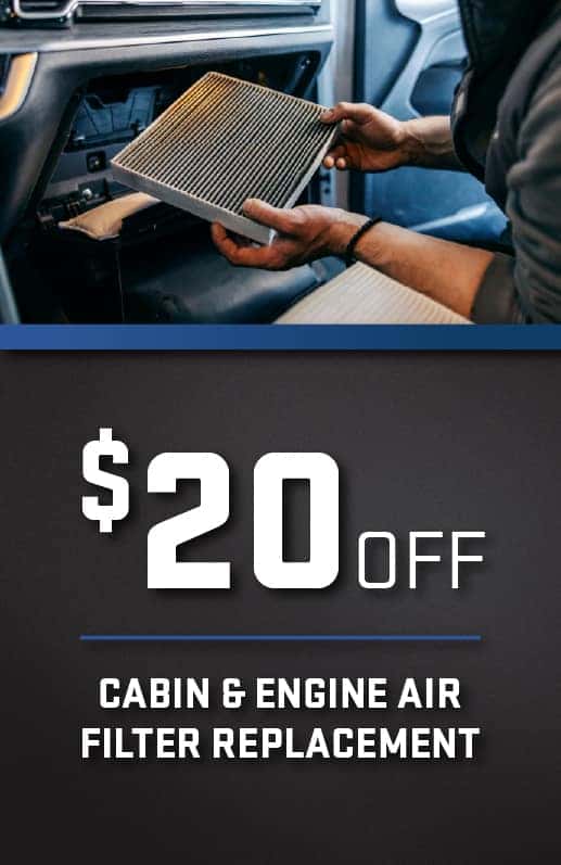 Cabin & Engine Air Filter