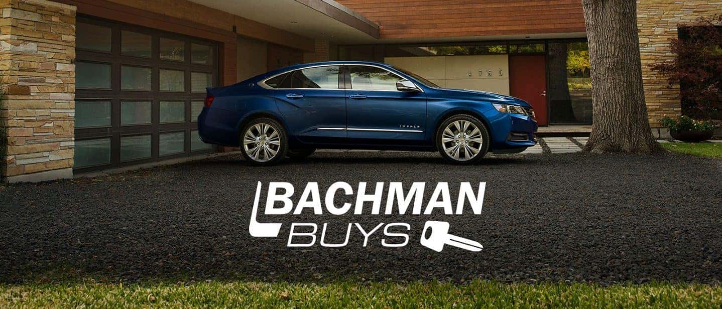Bachman Buys