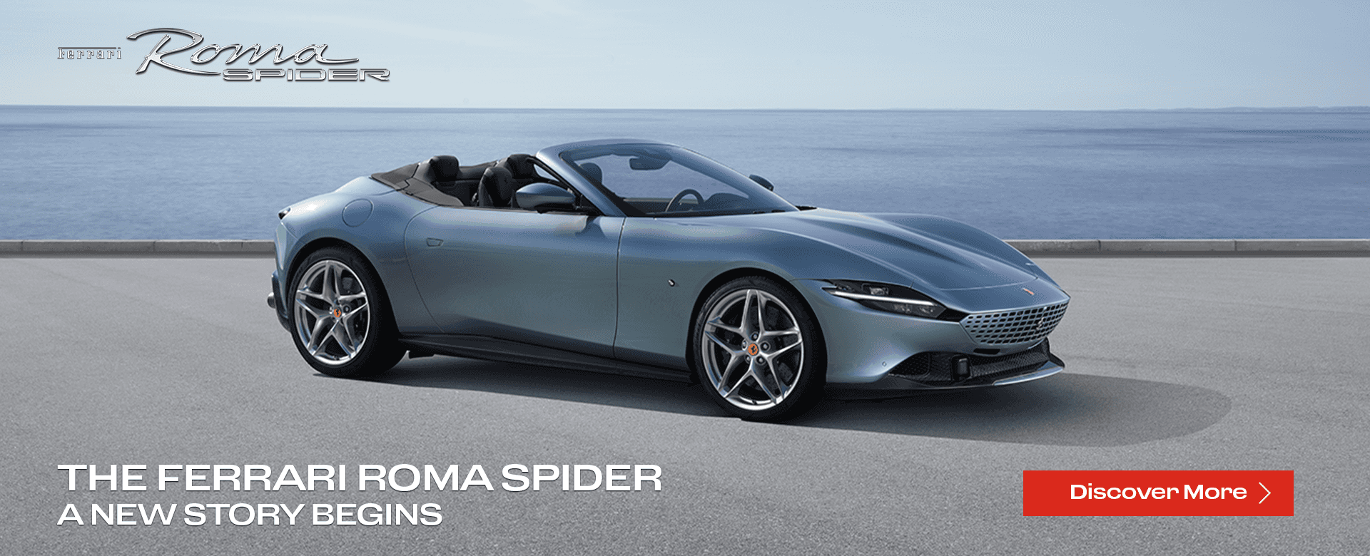 roma spider banner FINAL
