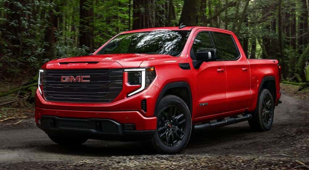 A red 2024 GMC Sierra Elevation parked in the woods.