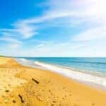 beach on a sunny day