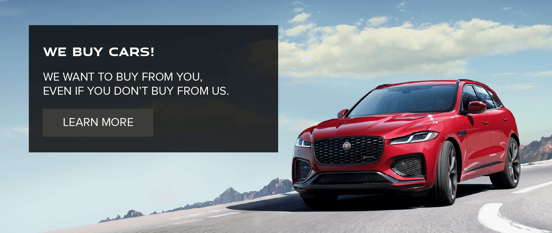 WE BUY CARS. EVEN IF YOU DON'T BUY FROM US, WE WANT TO BUY FROM YOU. LEARN MORE