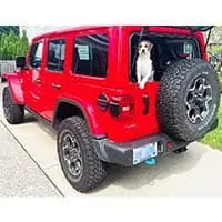 Jeep wrangler pet deals accessories