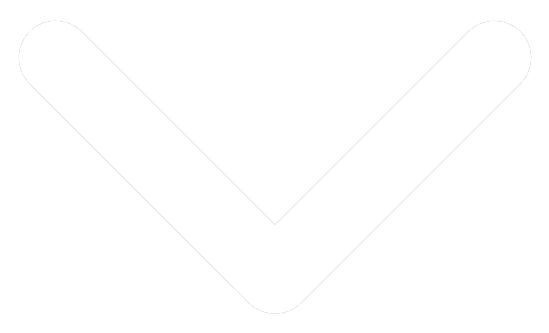caret icon