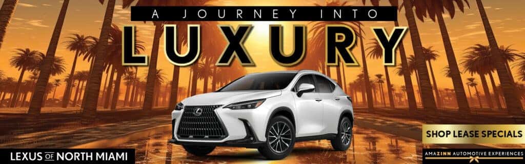 New 2024 Lexus NX 250