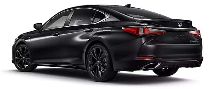 ES 350 Black Line