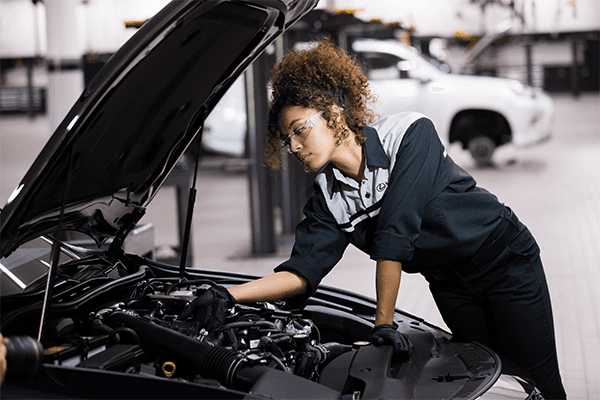 New and L/Certified Lexus Models