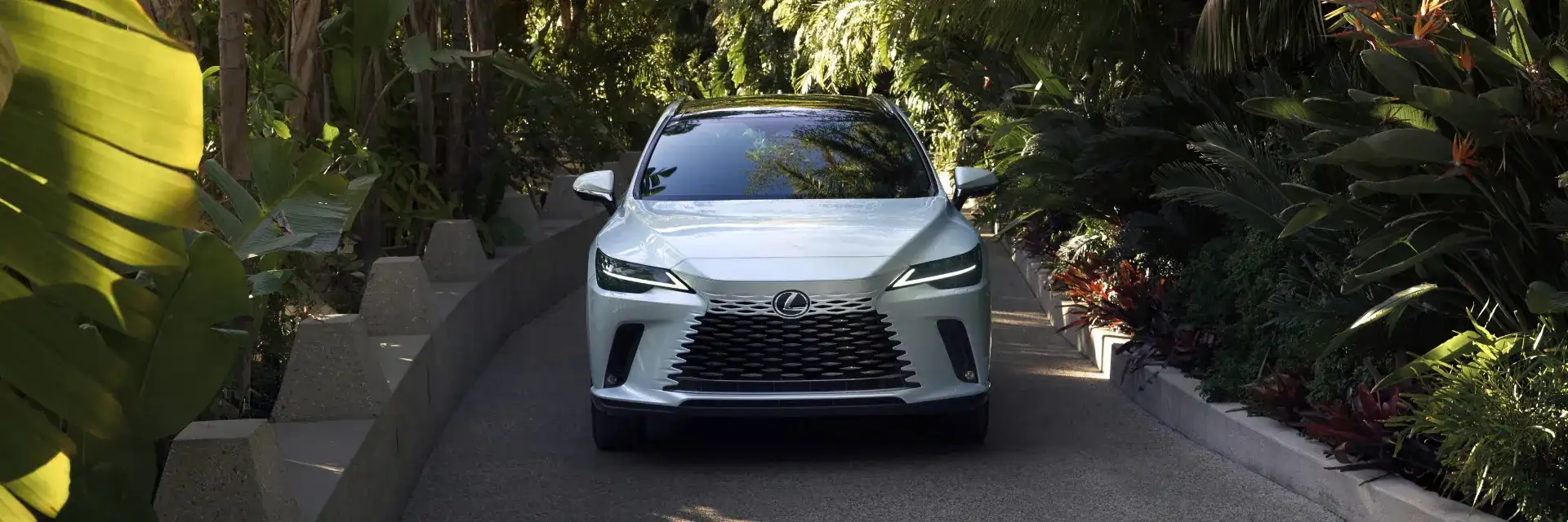 2026 Lexus RX in Eminent White Pearl