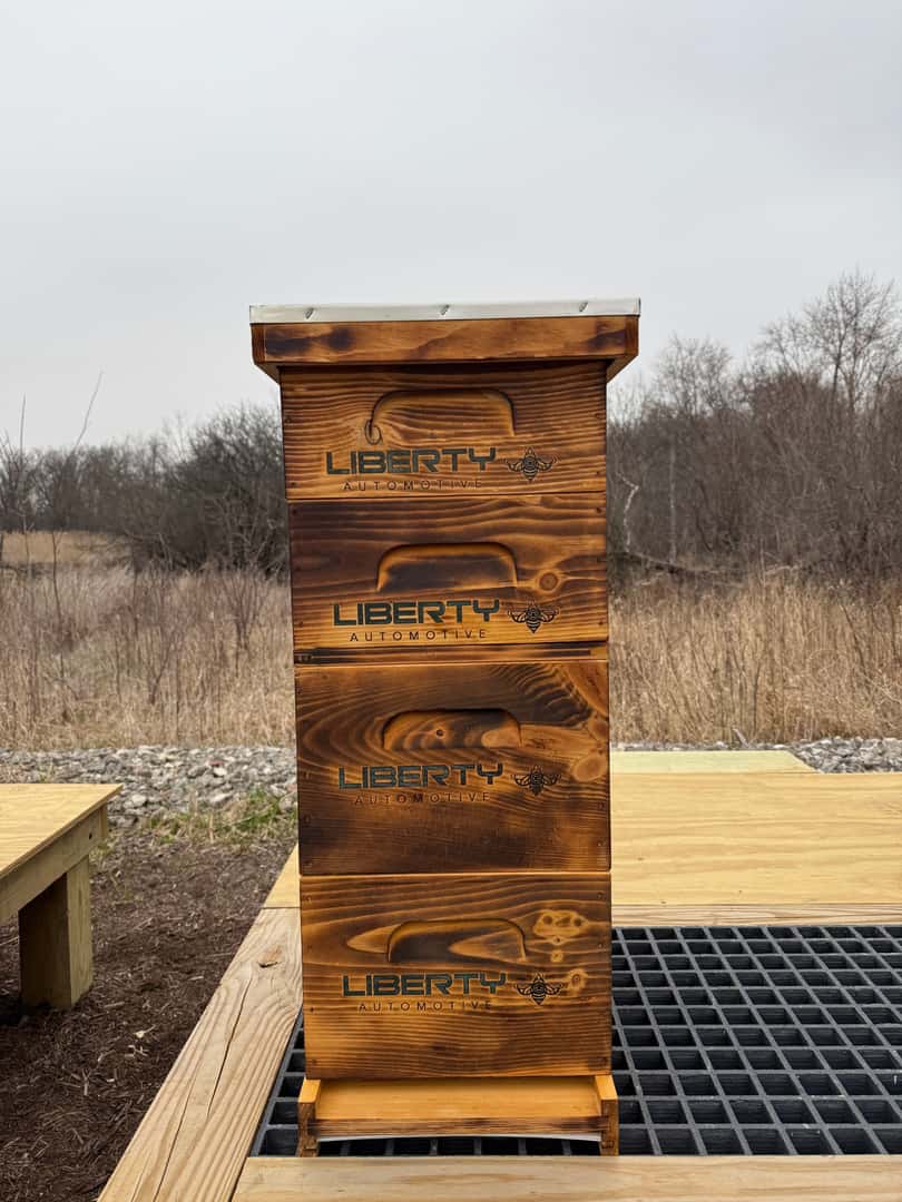 Blog Post Liberty
