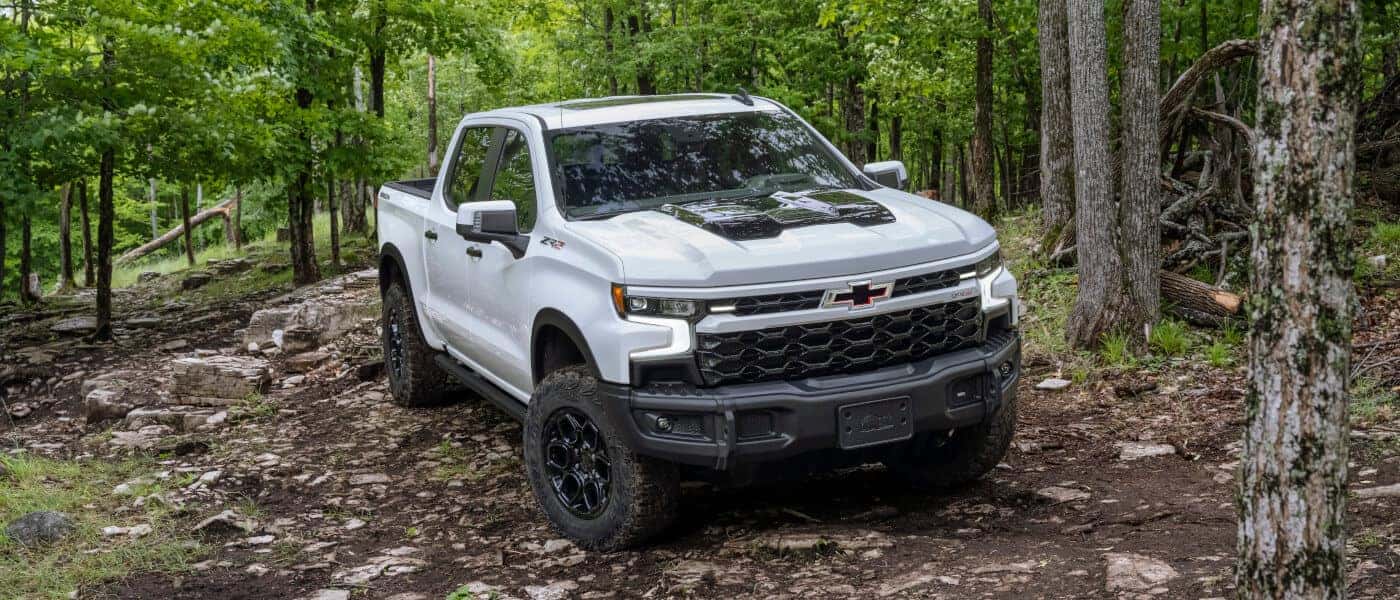 2026 Chevy Silverado 1500 Exterior Forest