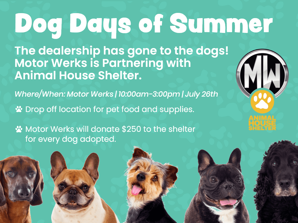 Motor Werks "Dog Days of Summer" Dog Adoption Event