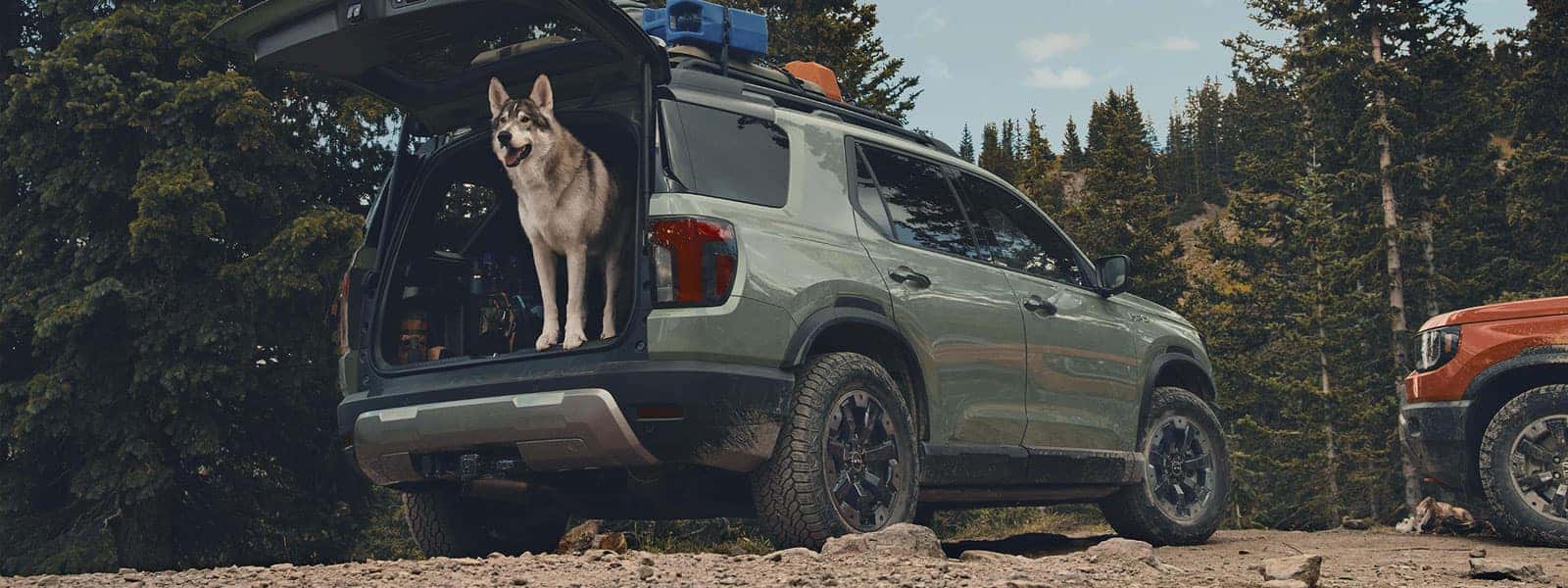 Discover All-New 2026 Honda Passport Midsize SUV in Martinsville near Danville and Roanoke Virginia