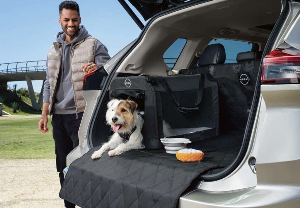 A Pet Owner Checking On His Happy Dog In The Cargo Of The Car