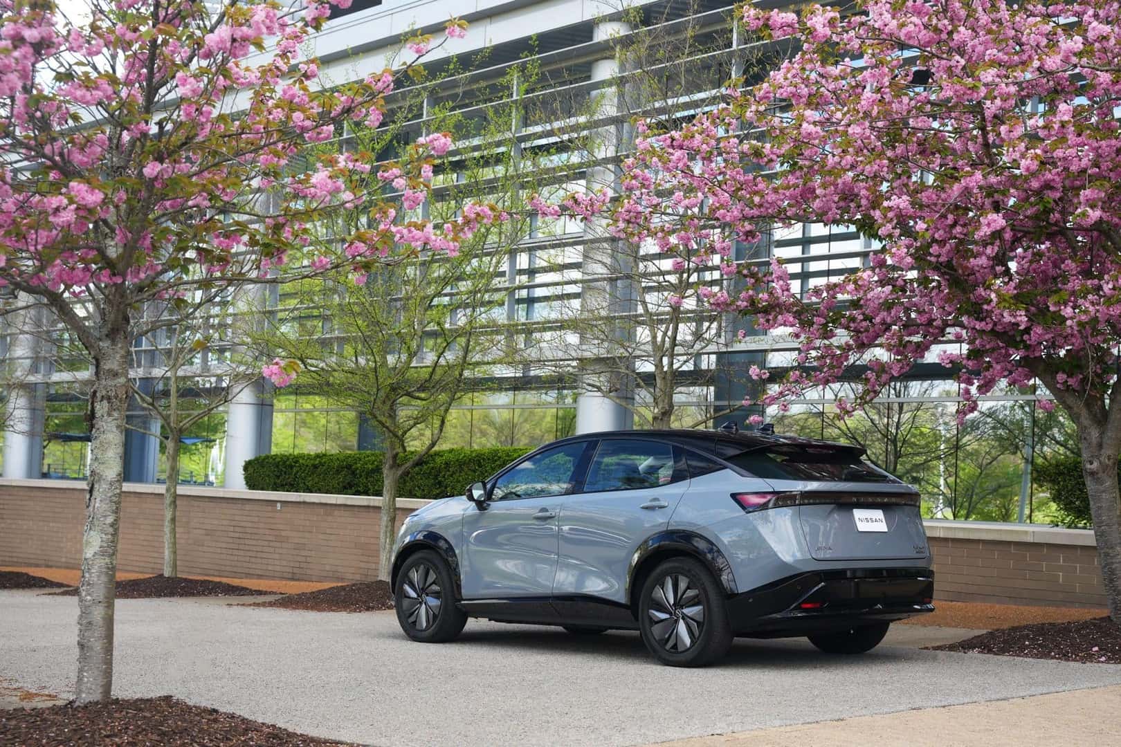 Exquisite And Charming Cherry Blossom Trees, Above The Easygoing Nissan Ariya EV