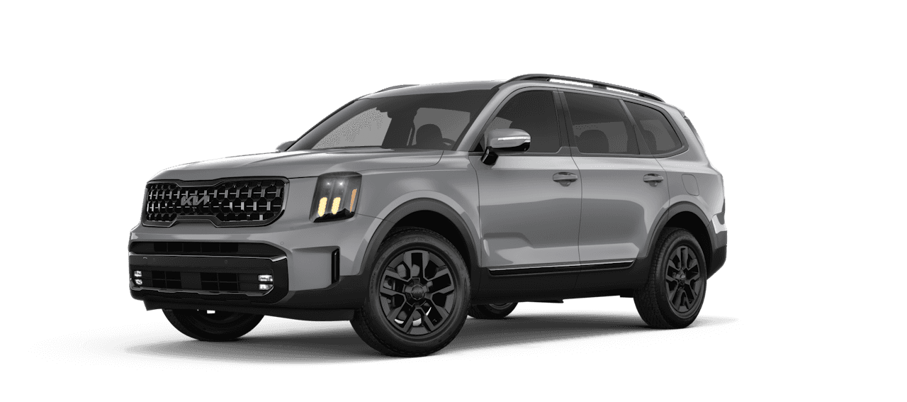 Wolf Gray