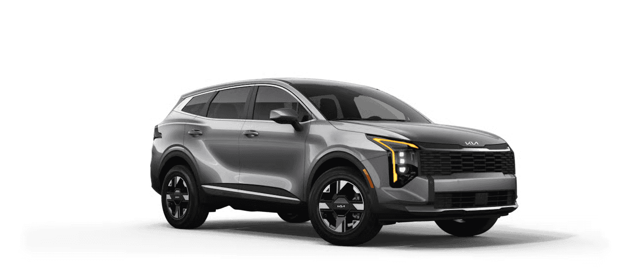 Steel Gray