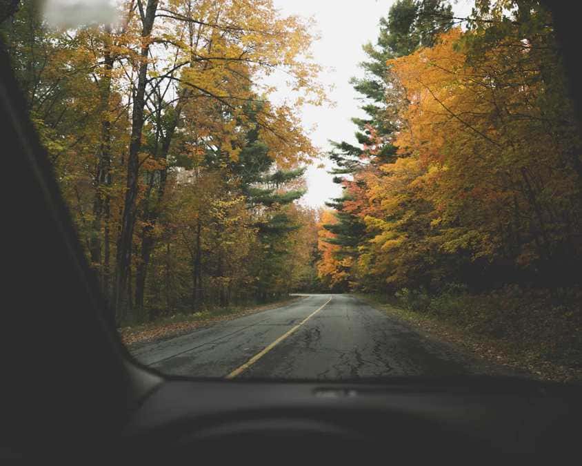 Fall Drive
