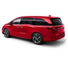 rear window design