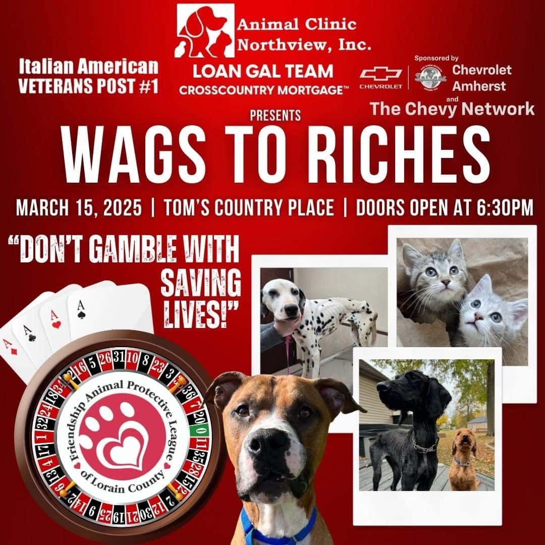 Wags to Riches