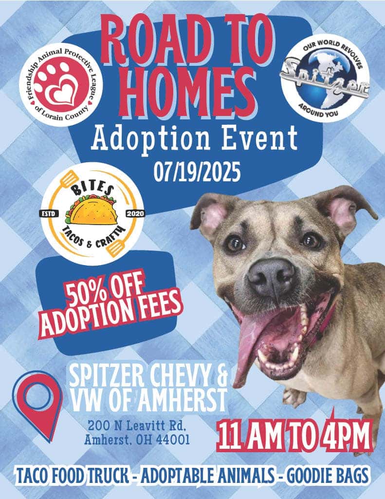 Dog Adoption event July 19, 2025