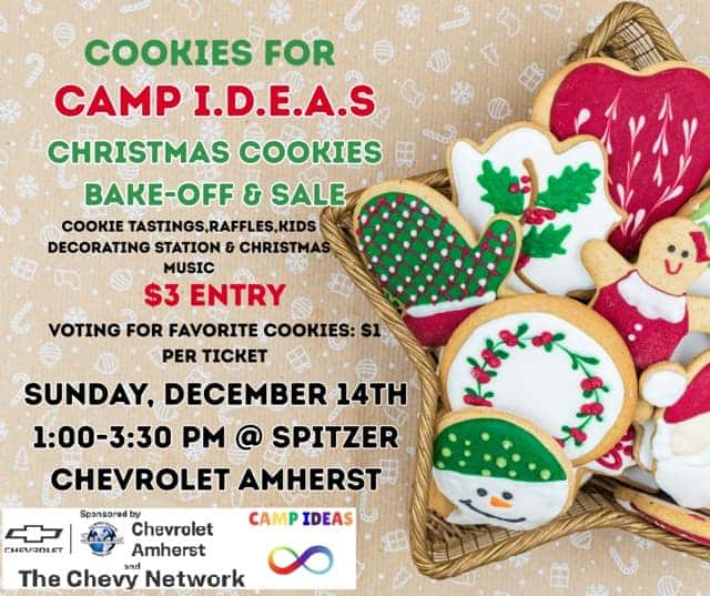 Cookies for Camp