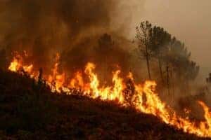 natural disasters wildfire and F-150 clean-up