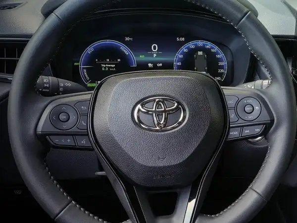 Steerwheel / Digital Gauge Cluster