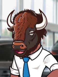 Tyson the Bison